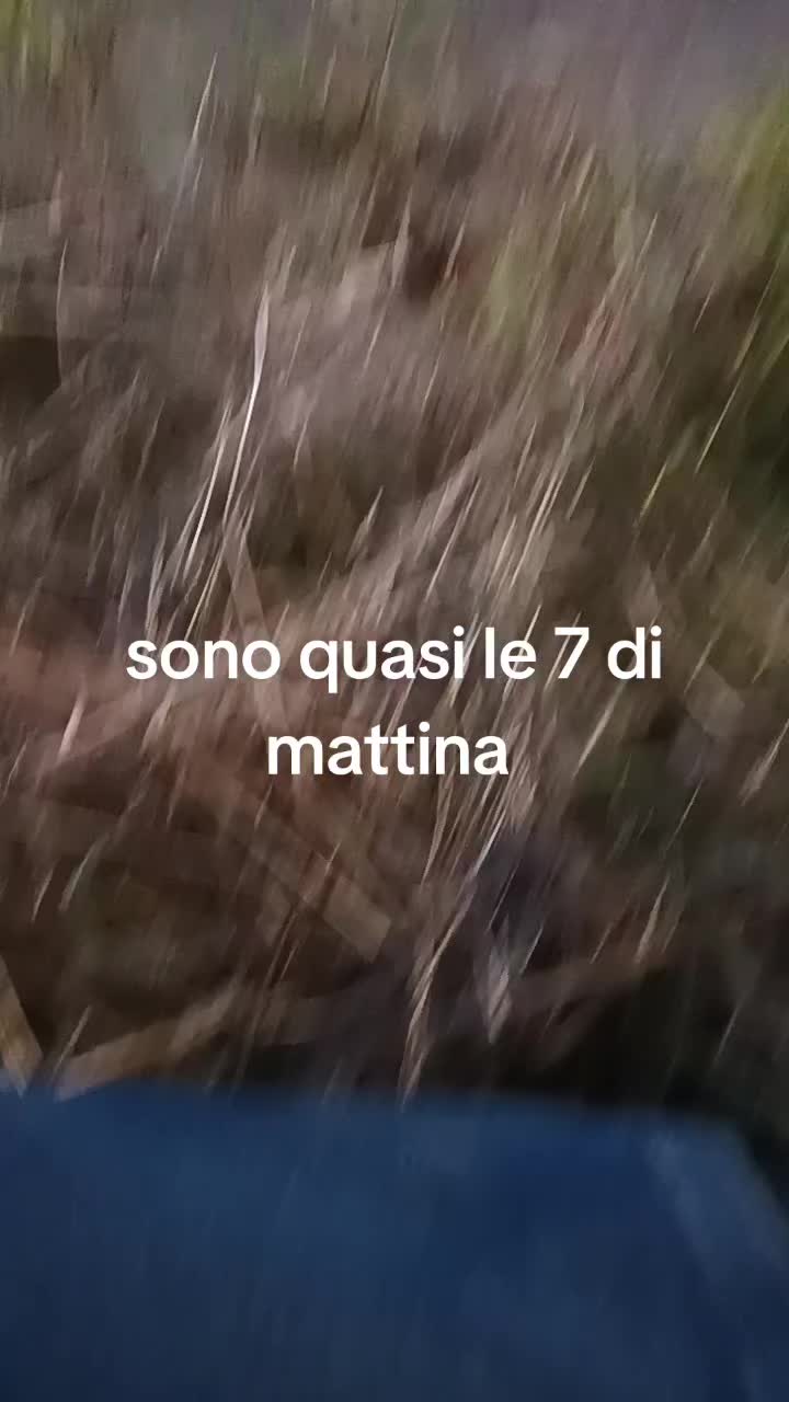 @ivor.ongaro