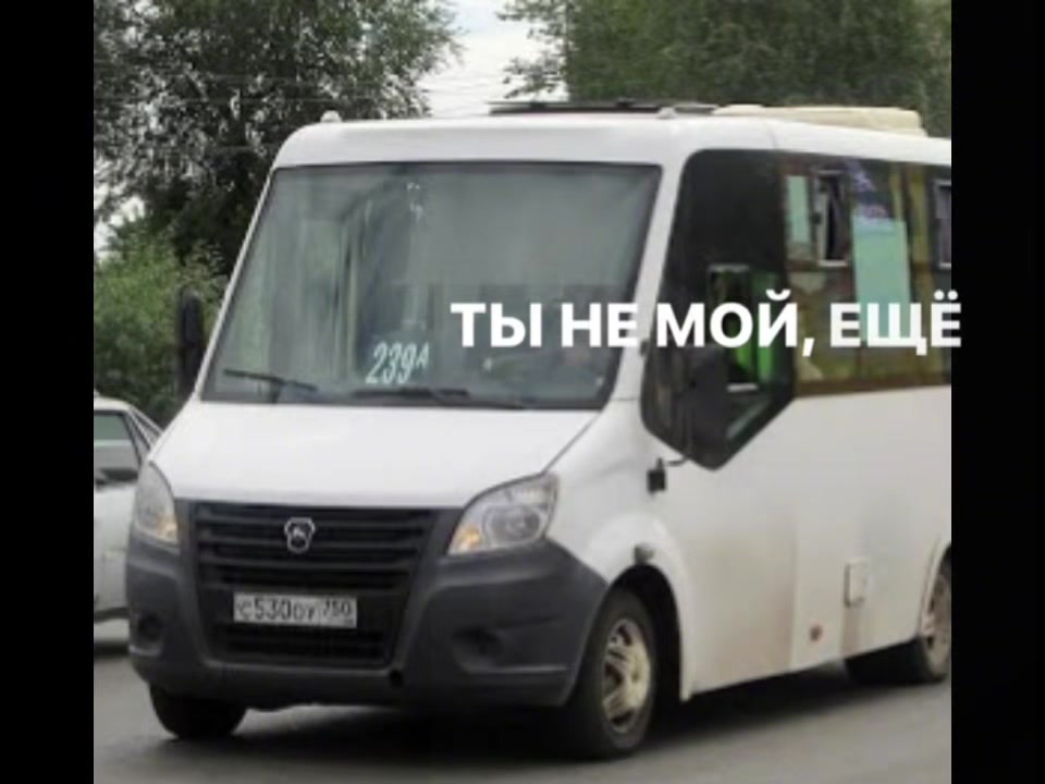 @vedlis