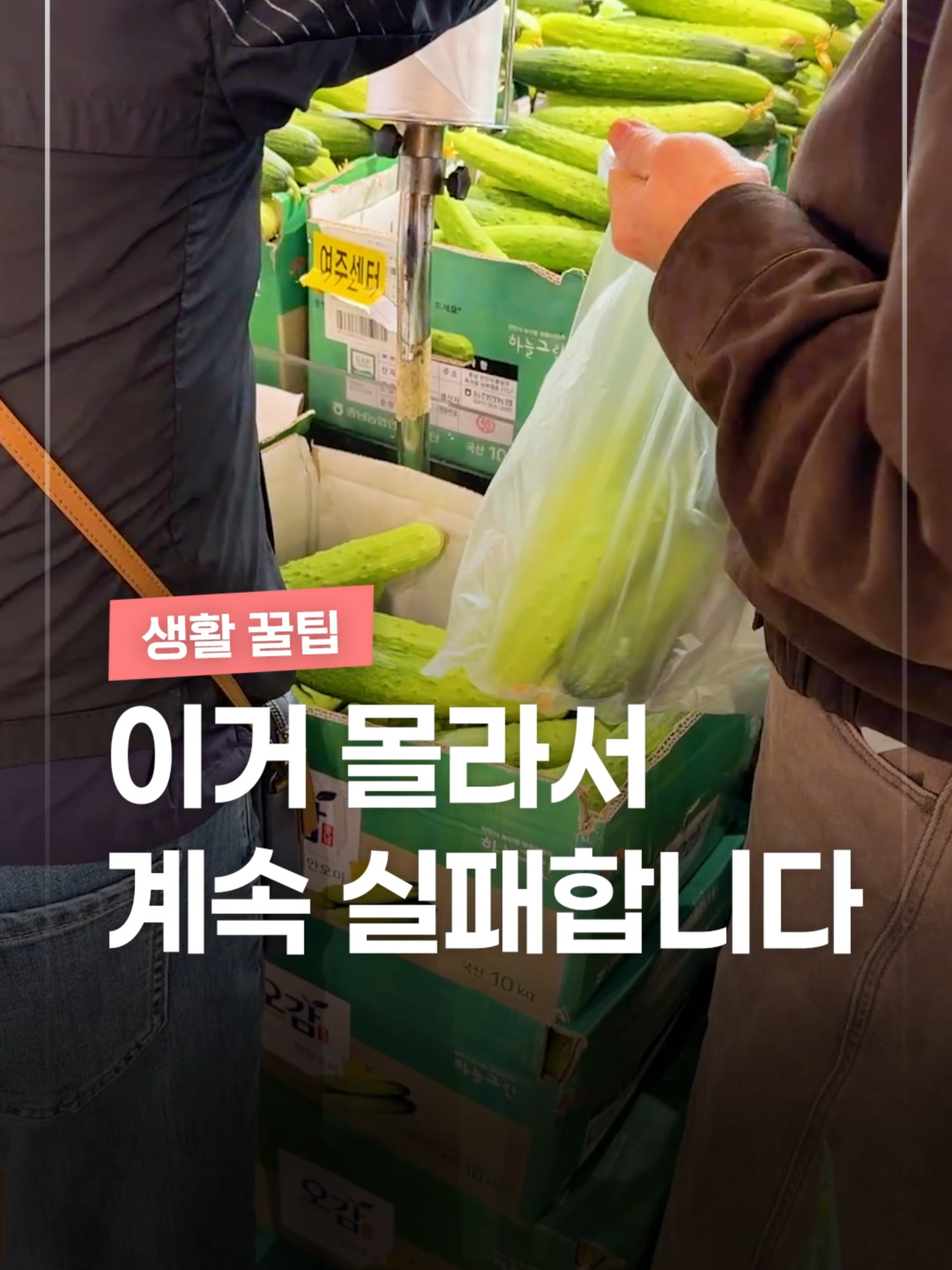 @짤컷