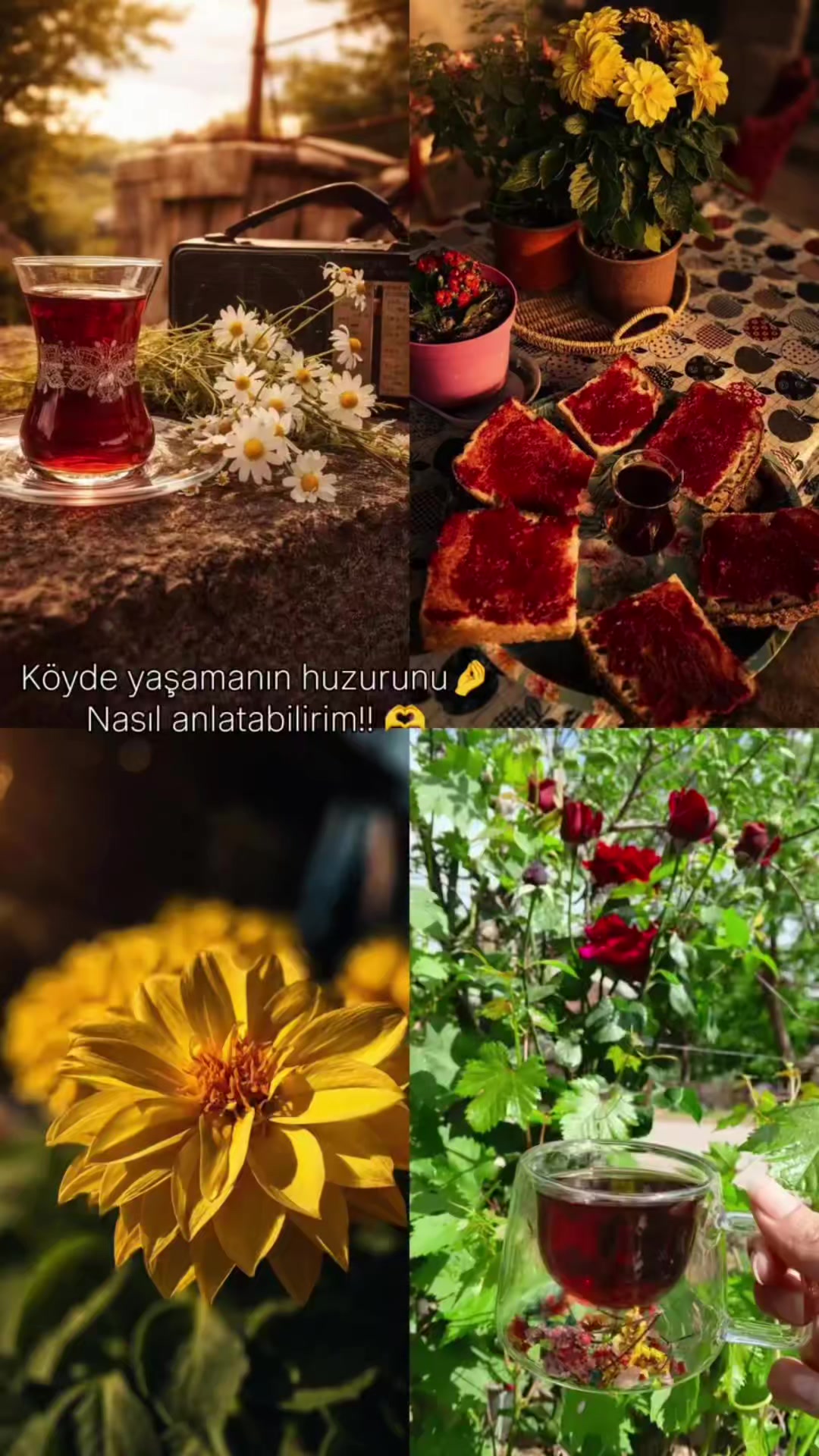 @SINEMayşenur