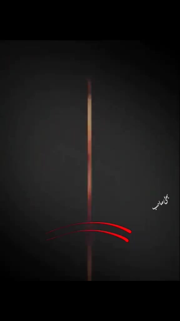 @razianasir316 razia Nasir 316