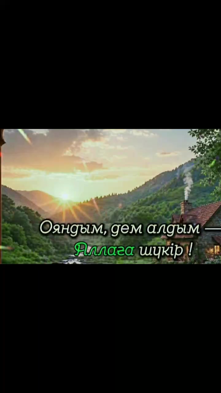 @Тойгул