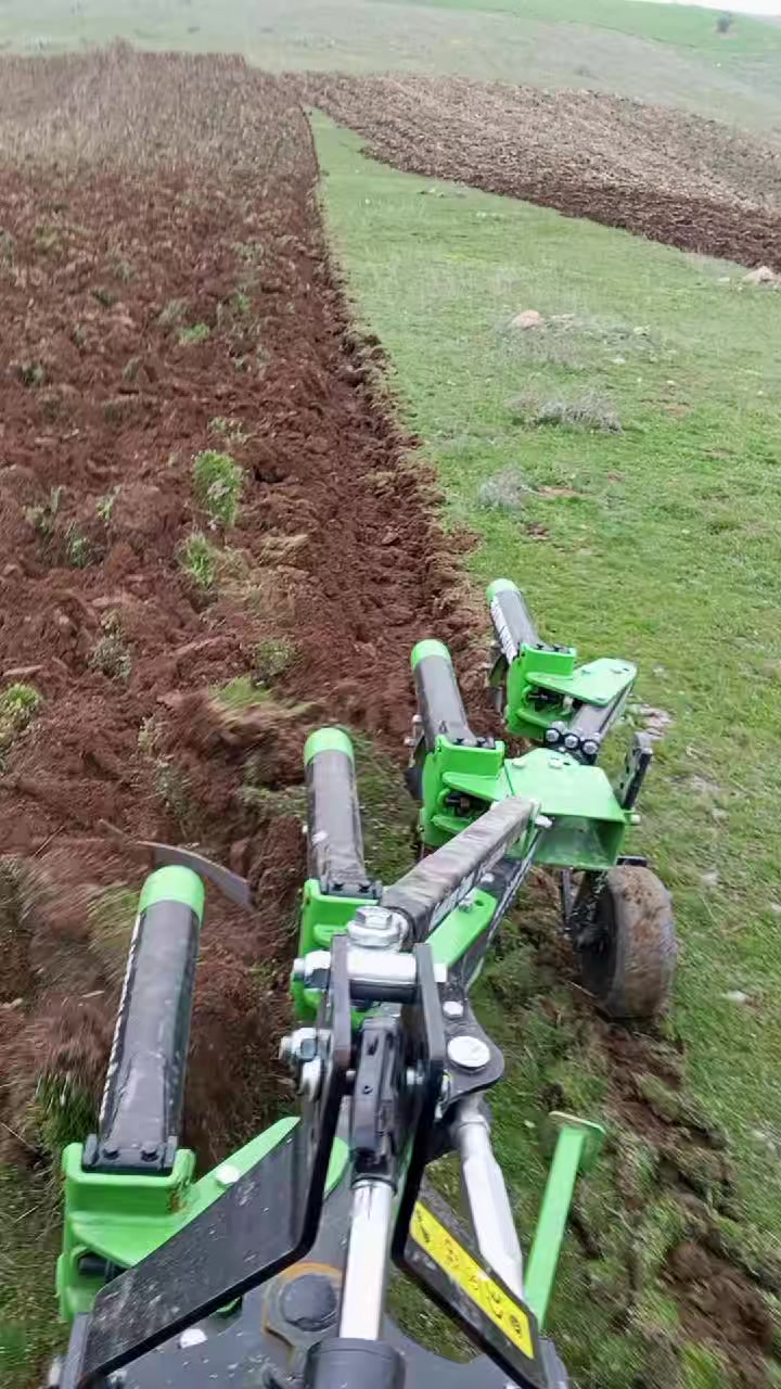 @03 Rak dayı