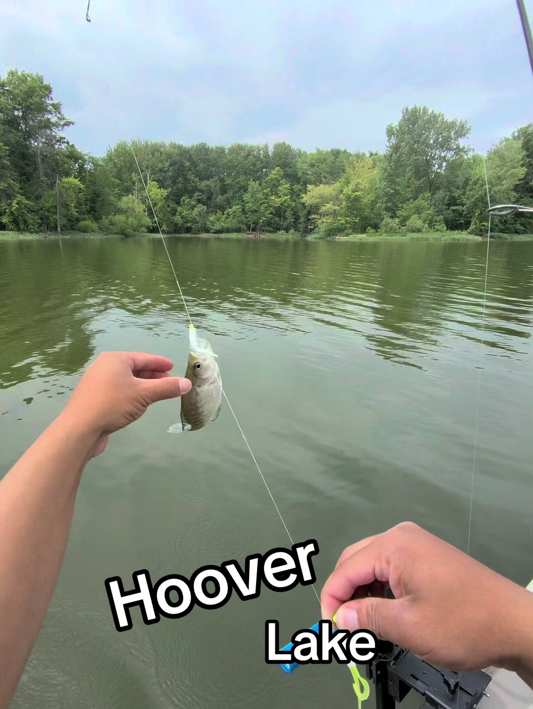 @Dave’s Lazy Baits