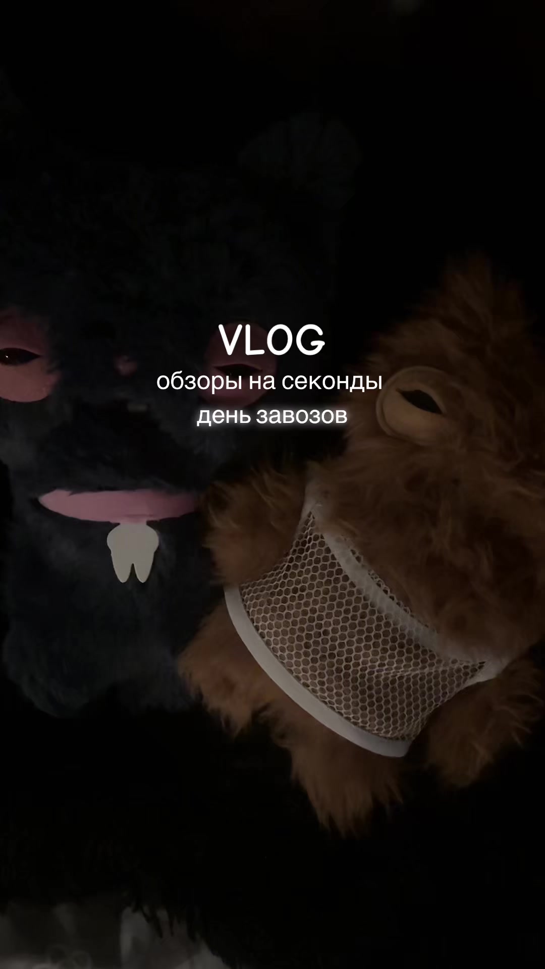 @(_ _).｡o○