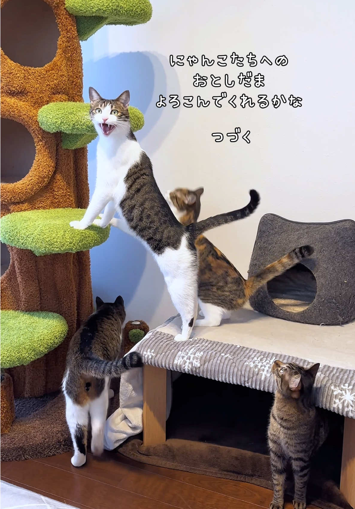 @しらす