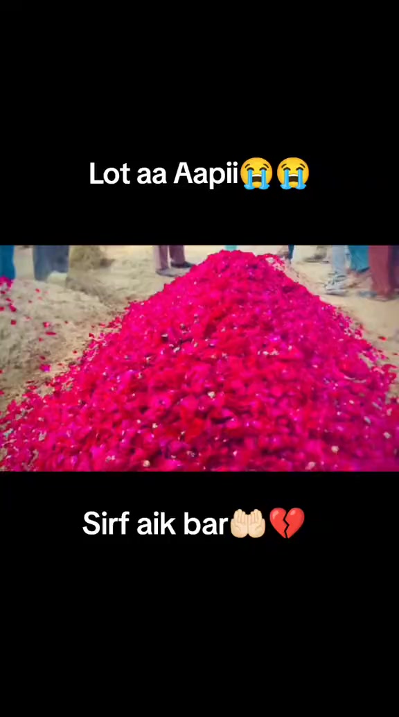 @Saqib khan