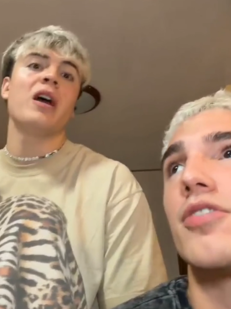 @Chefylora🦜