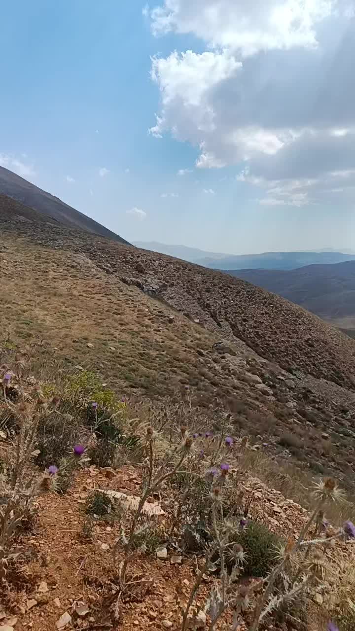 @Nazif Geriş