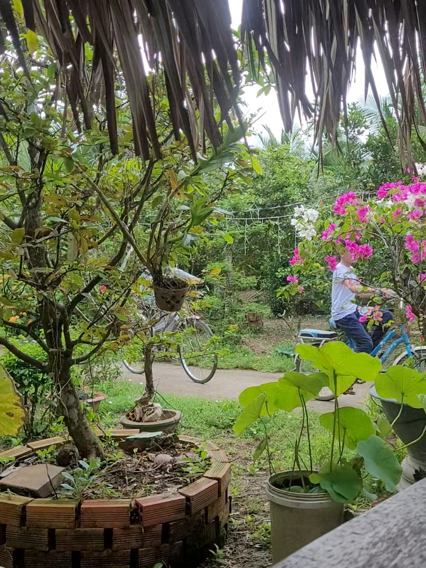 @Em G&agrave; Th&uacute;i