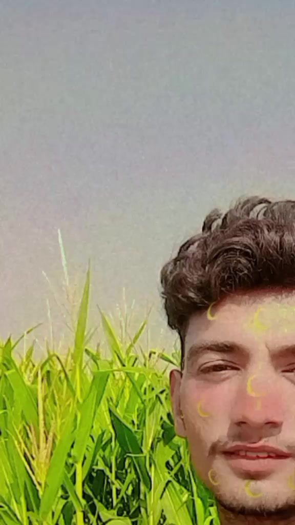 @MUSTFA Khichi