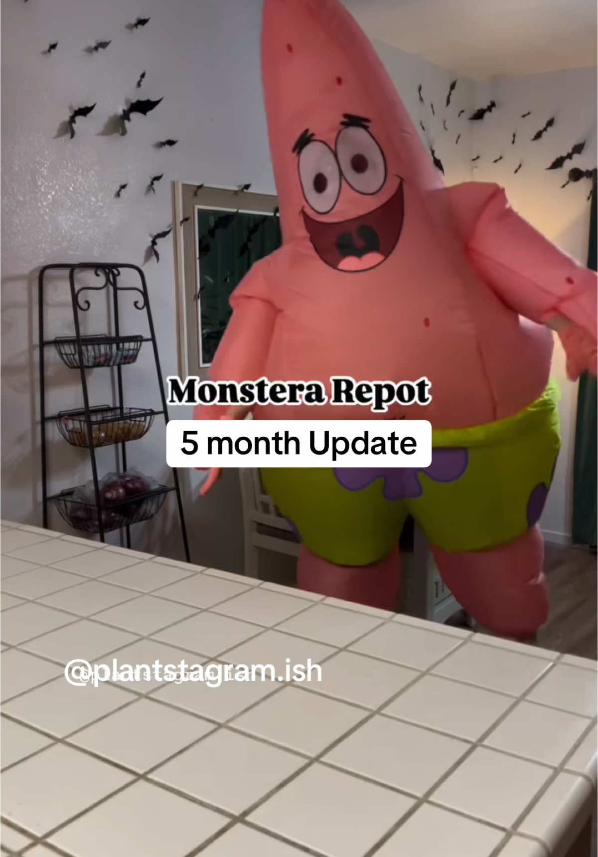 @Plantstagram.ish