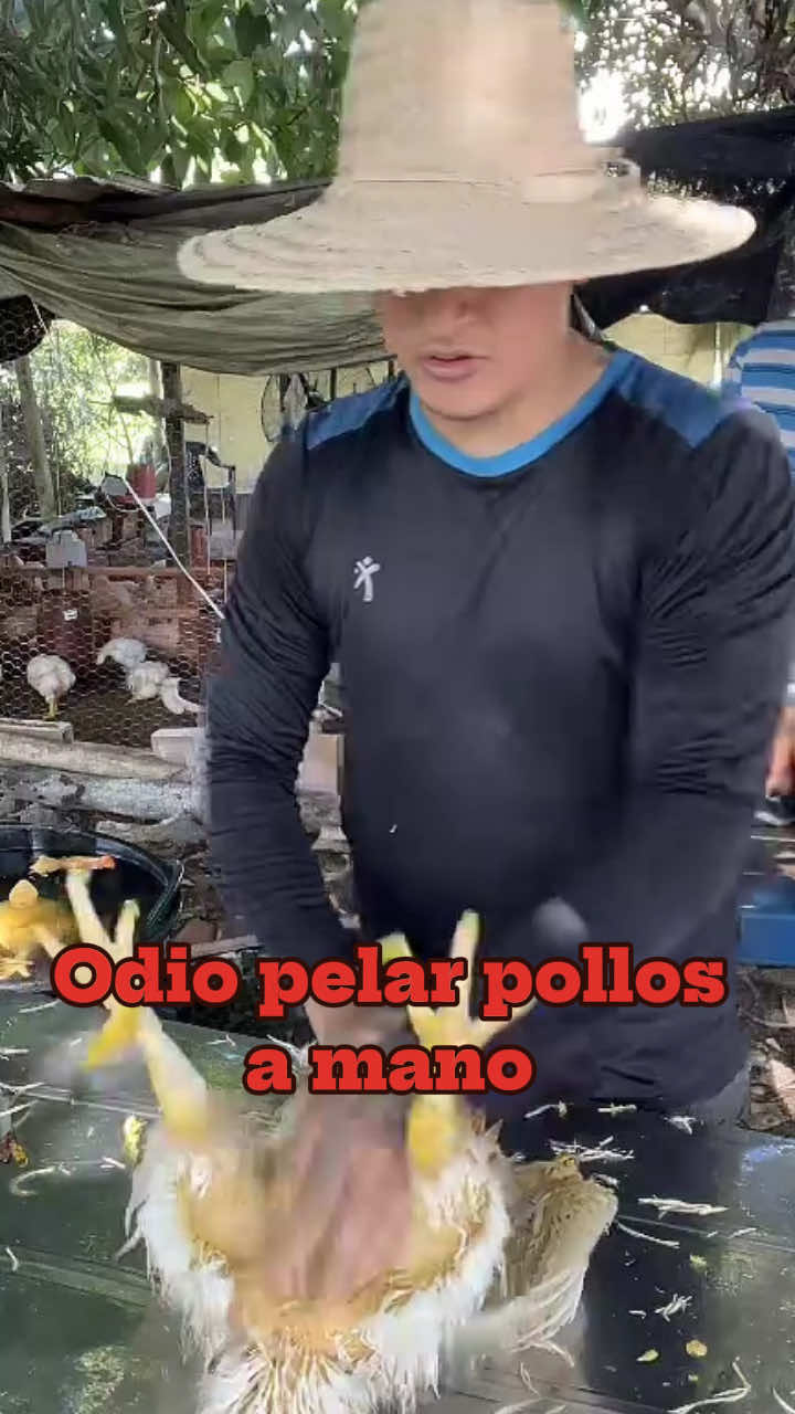 @elmagnatedelospollos