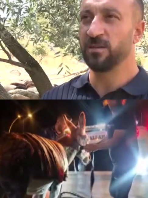 @Habertürk TV