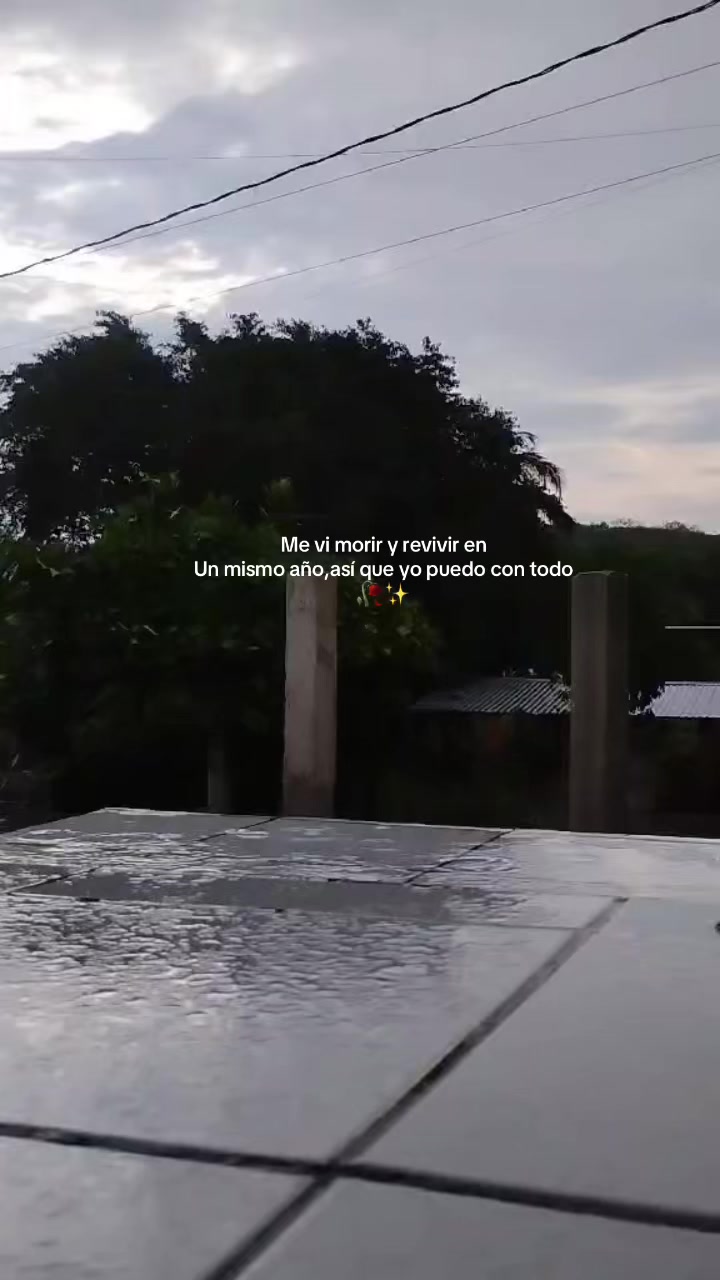 @rosapedraza48