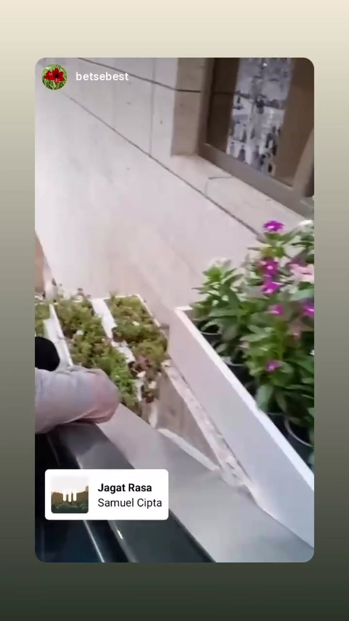 @liekyu1
