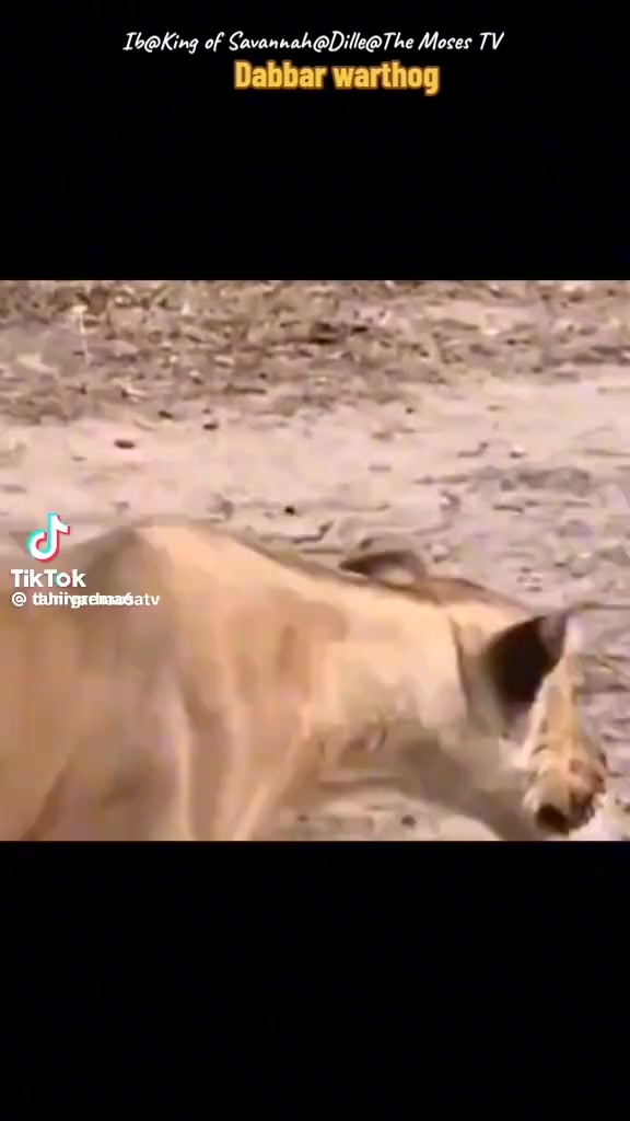 @ABOBKR. 🇸🇦