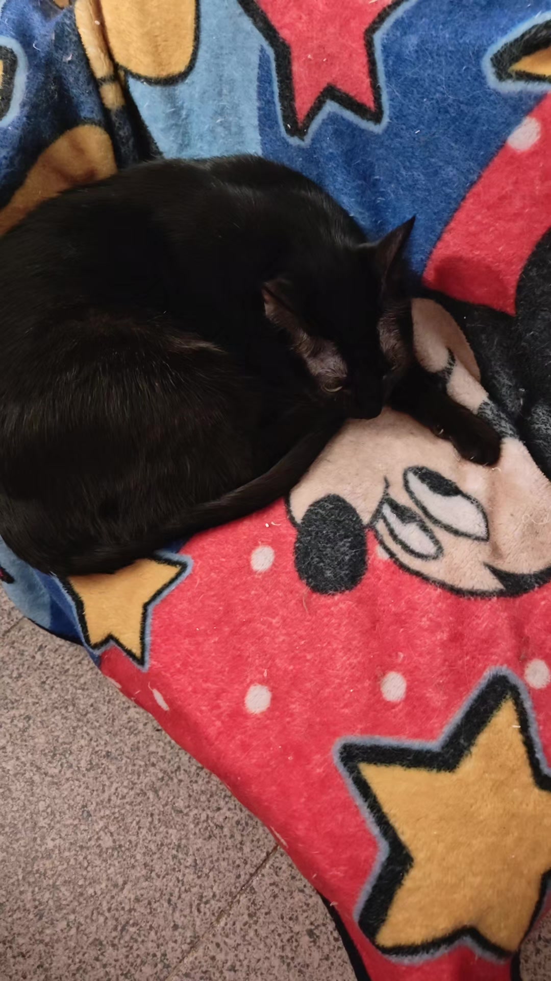 @LeztI 😻😺😽💕