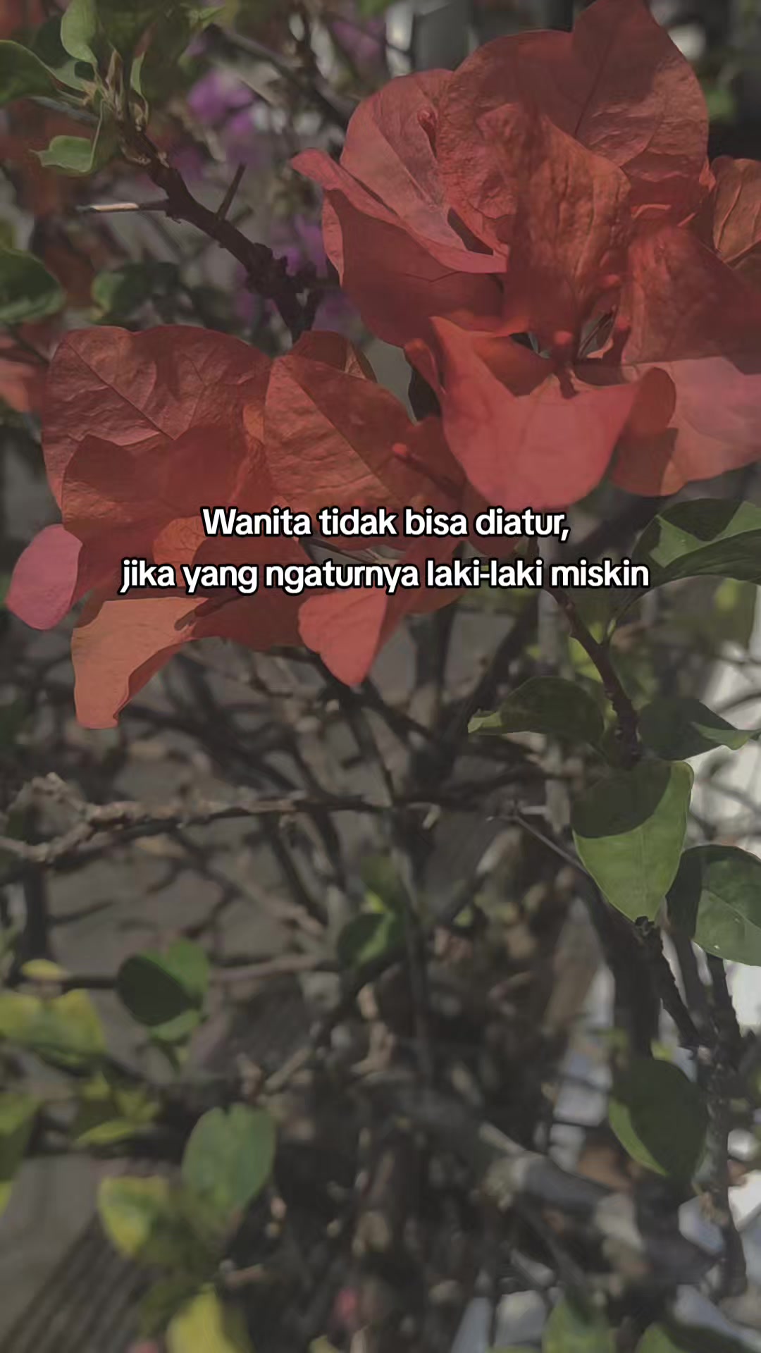 @Arzan.Sad