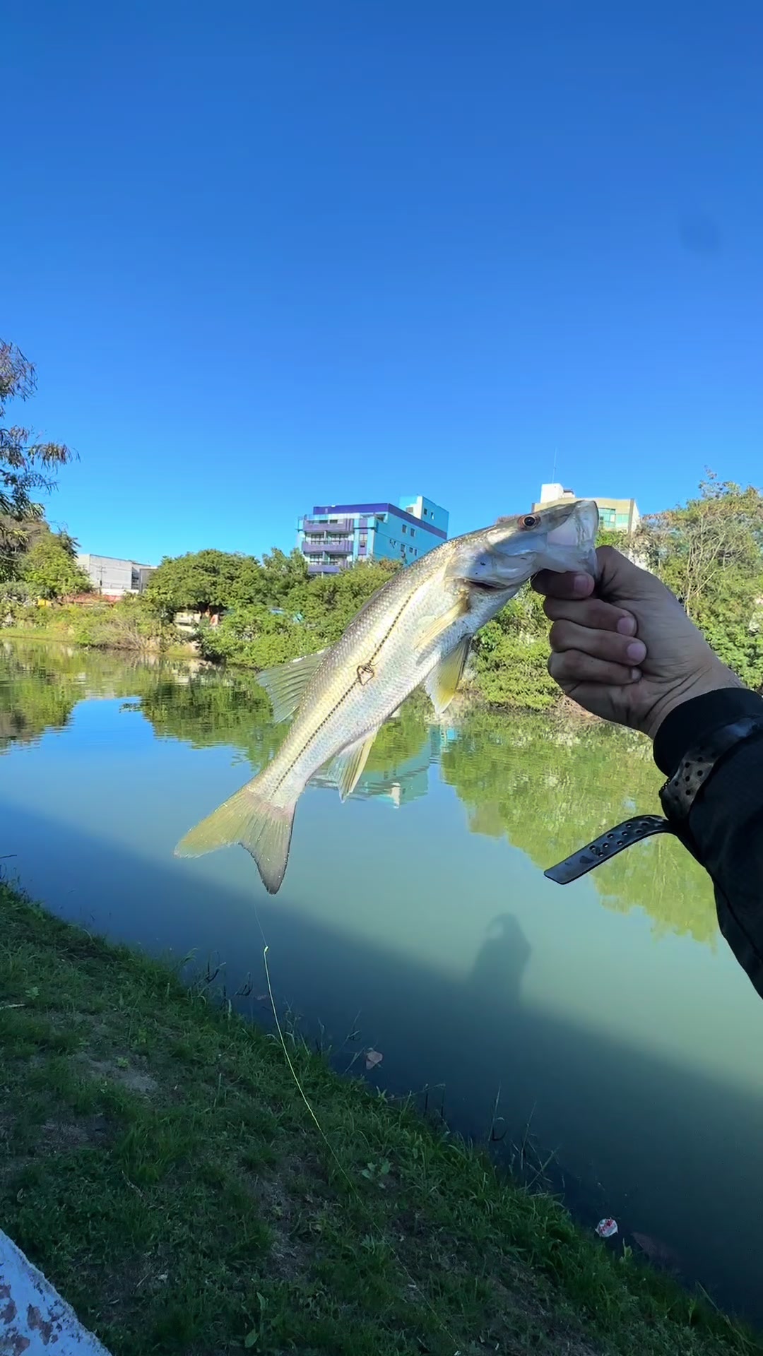 @Bideu Fishing