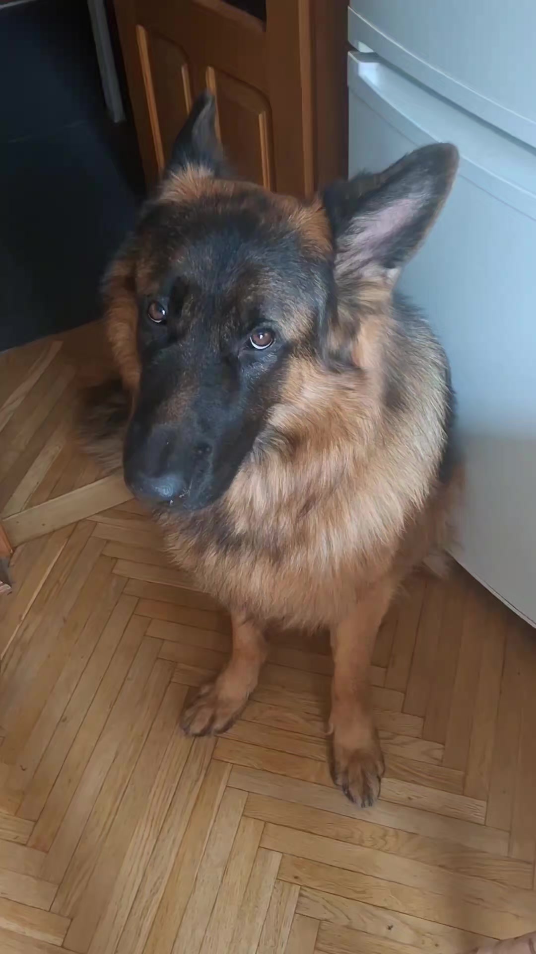 @МАТЬ ДРАКОНІВ🤣