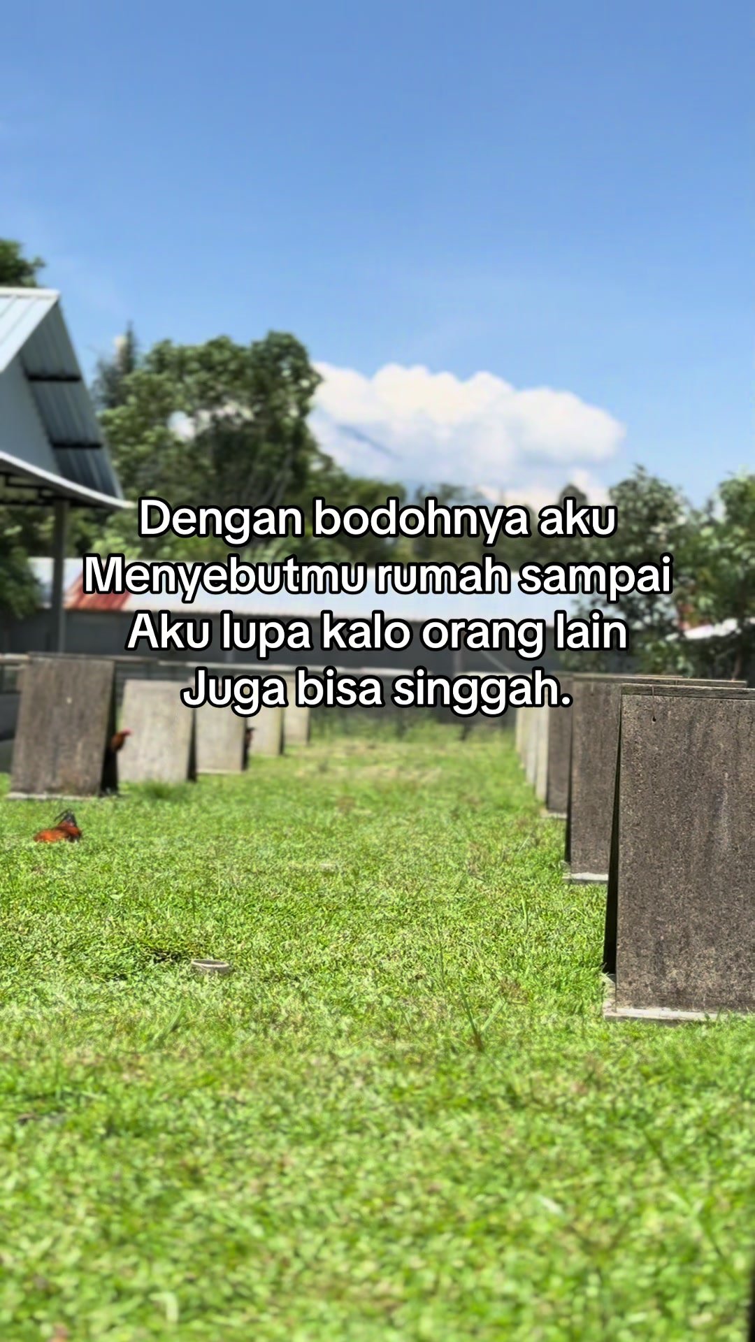 @🥀