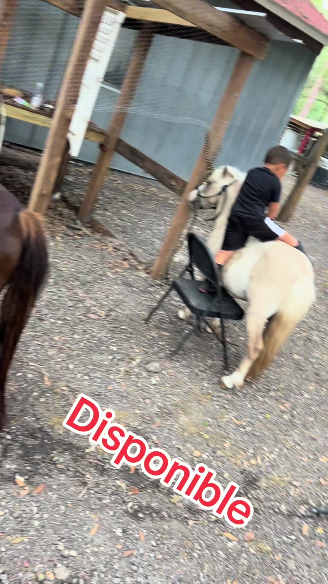 @Danny