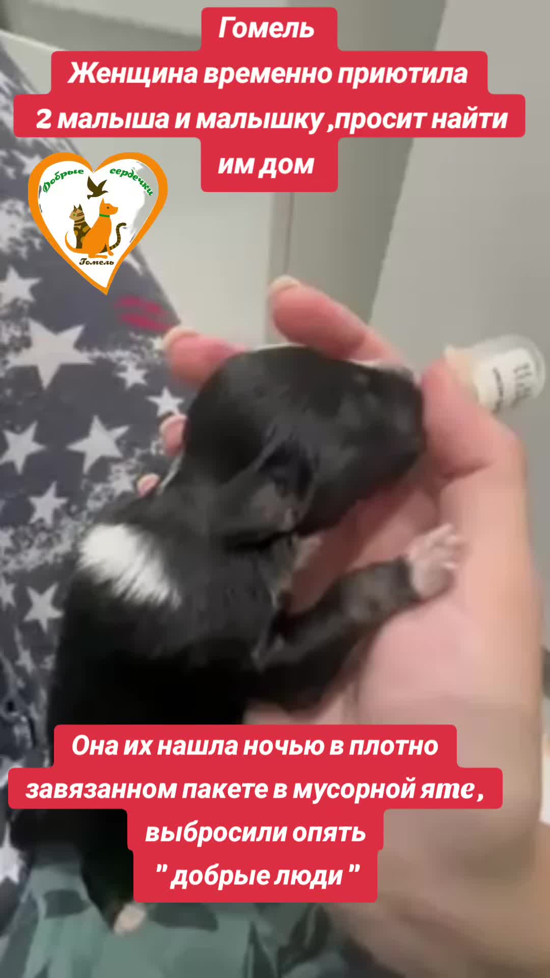 @Марина