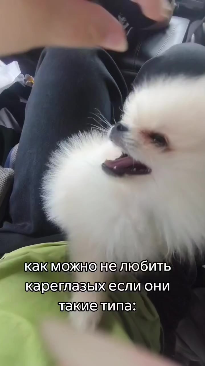 @𝚖𝚚𝚜𝚠𝚔𝚔𝚜