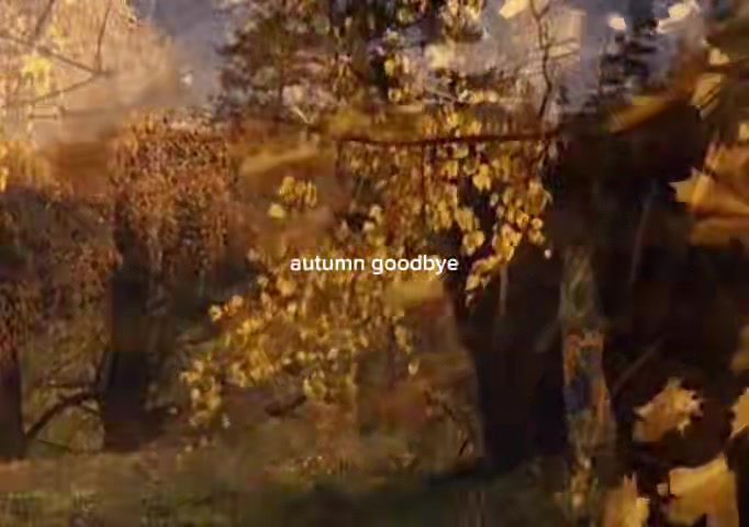 @🕷️🕸️