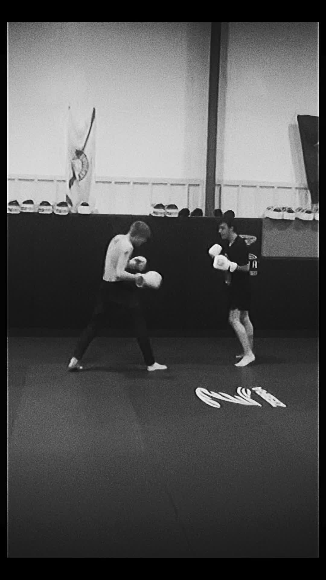 @chancefightz