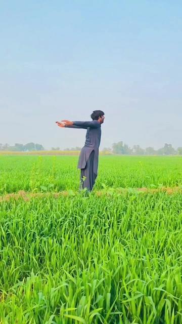 @alibhailashari6