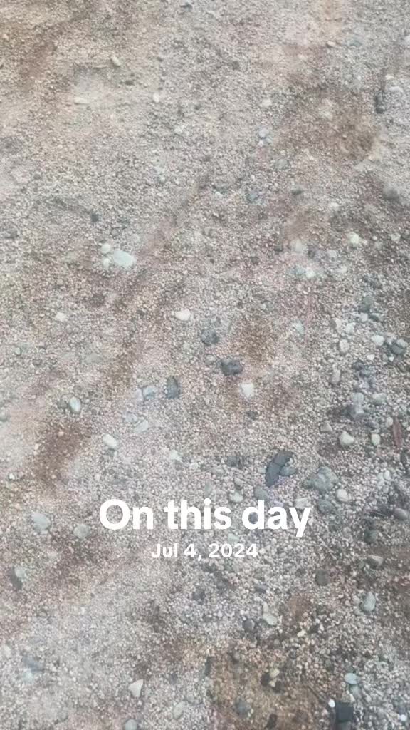 @Dylan 😎
