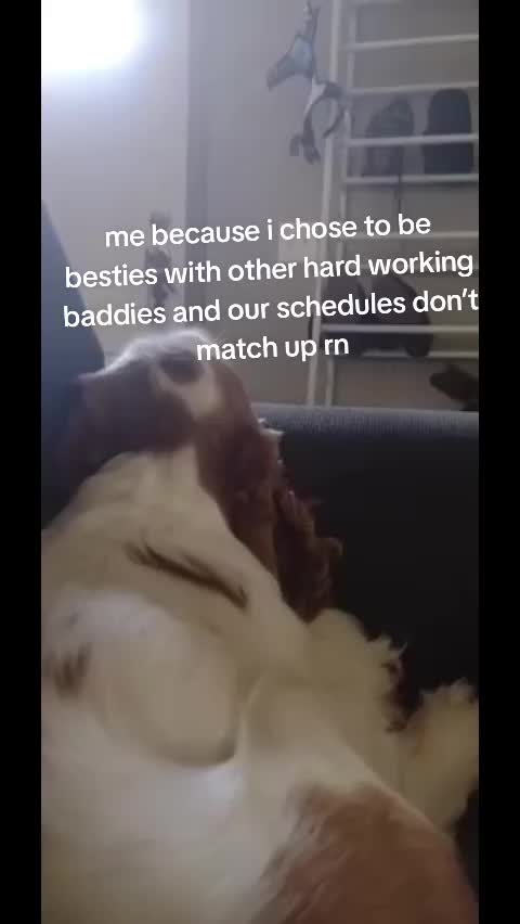 @MamaCakes