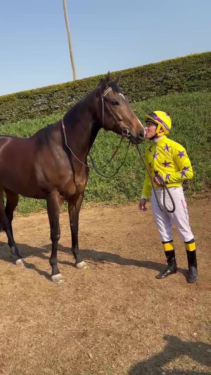 @Gallop TV