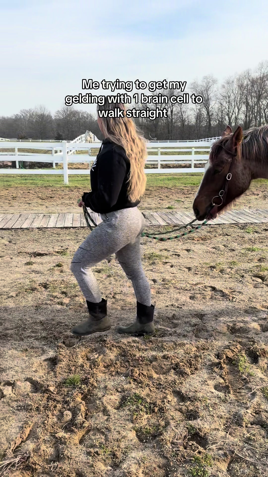 @leaaah