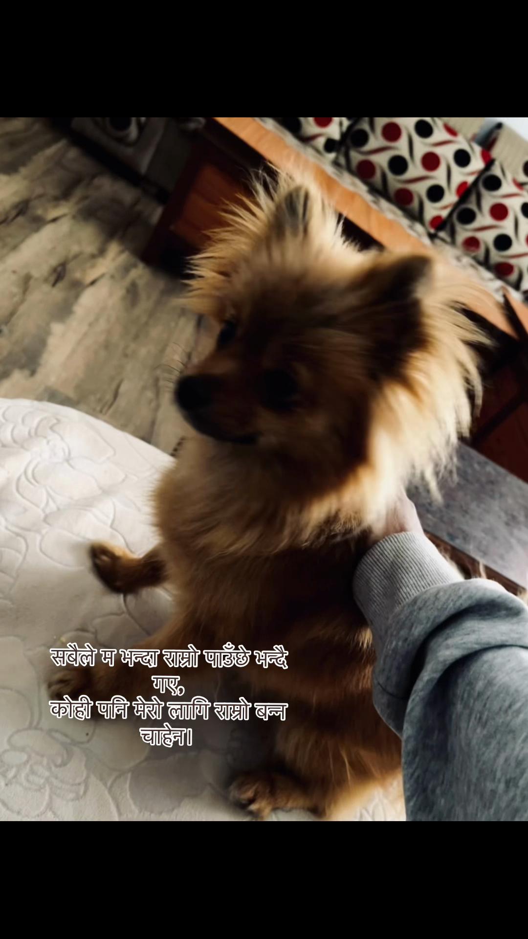 @subhamholic__