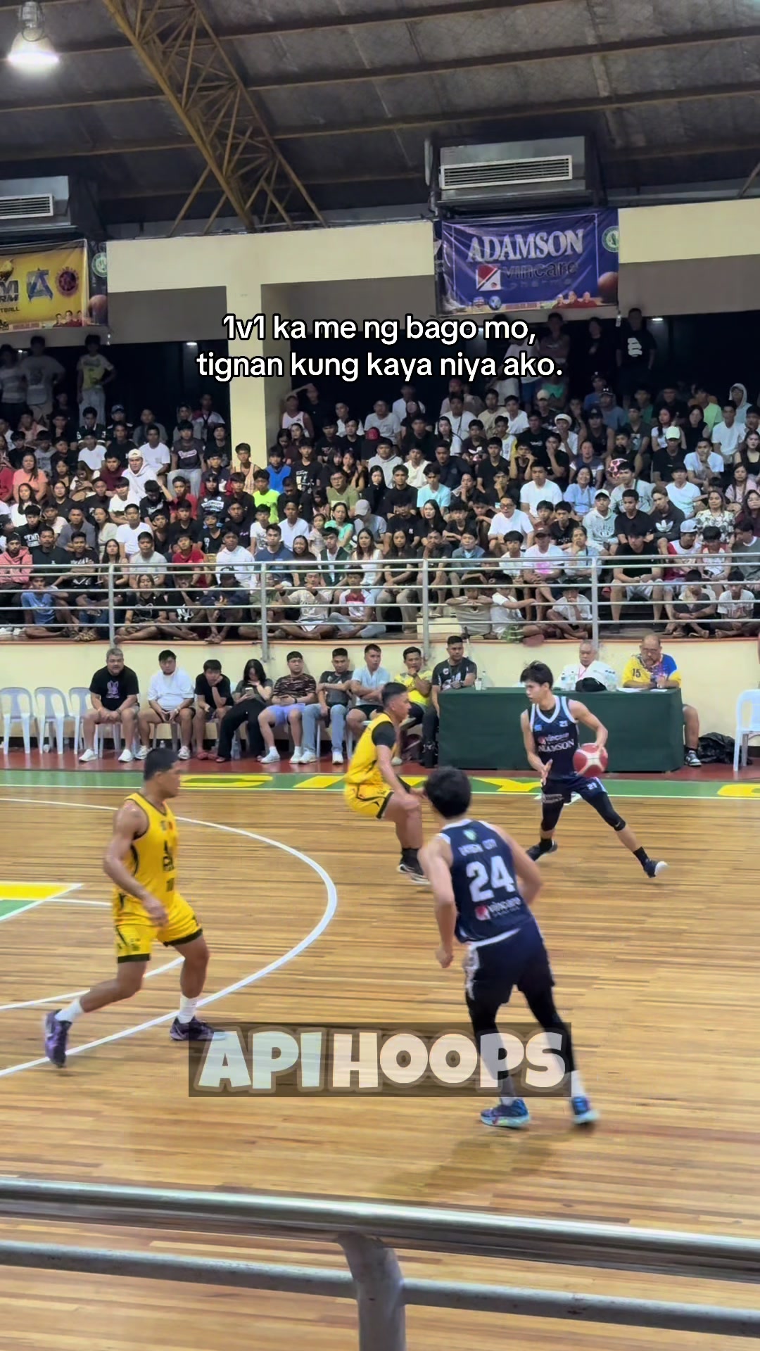 @apihoops_