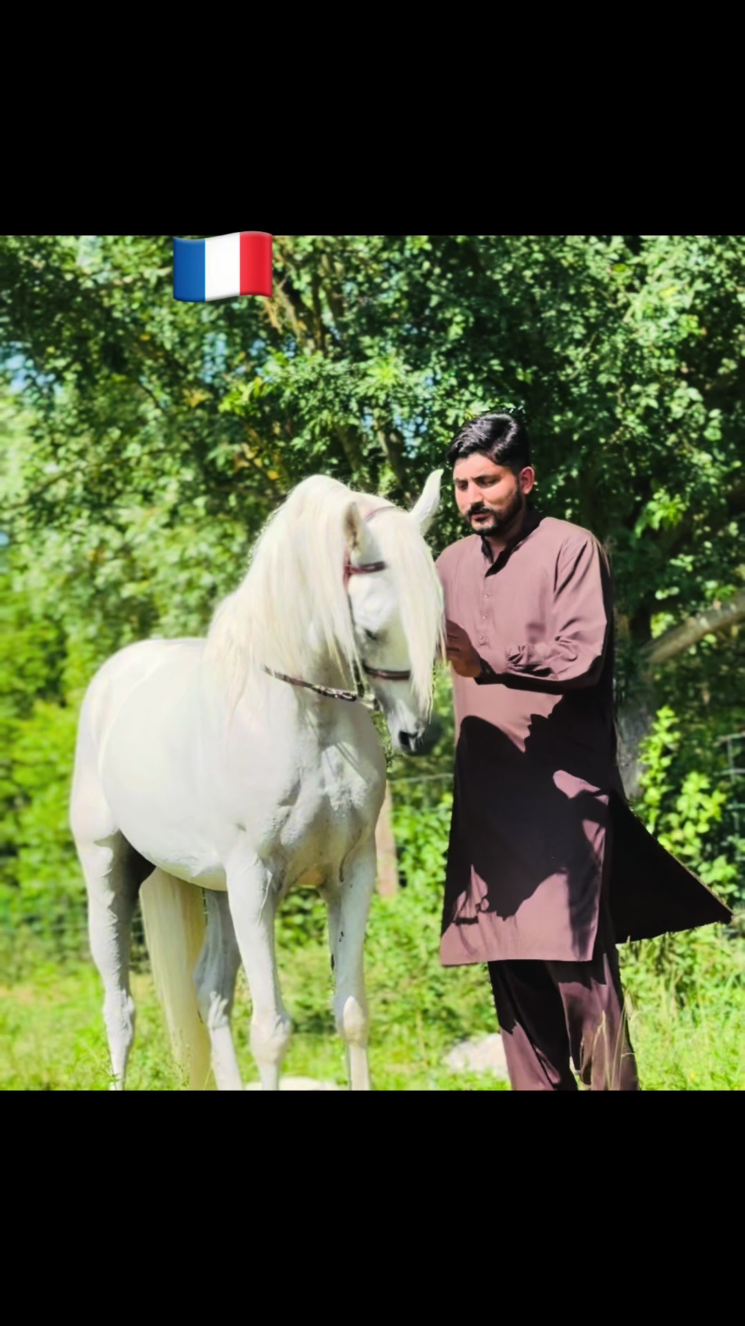 @Furqan gujjar