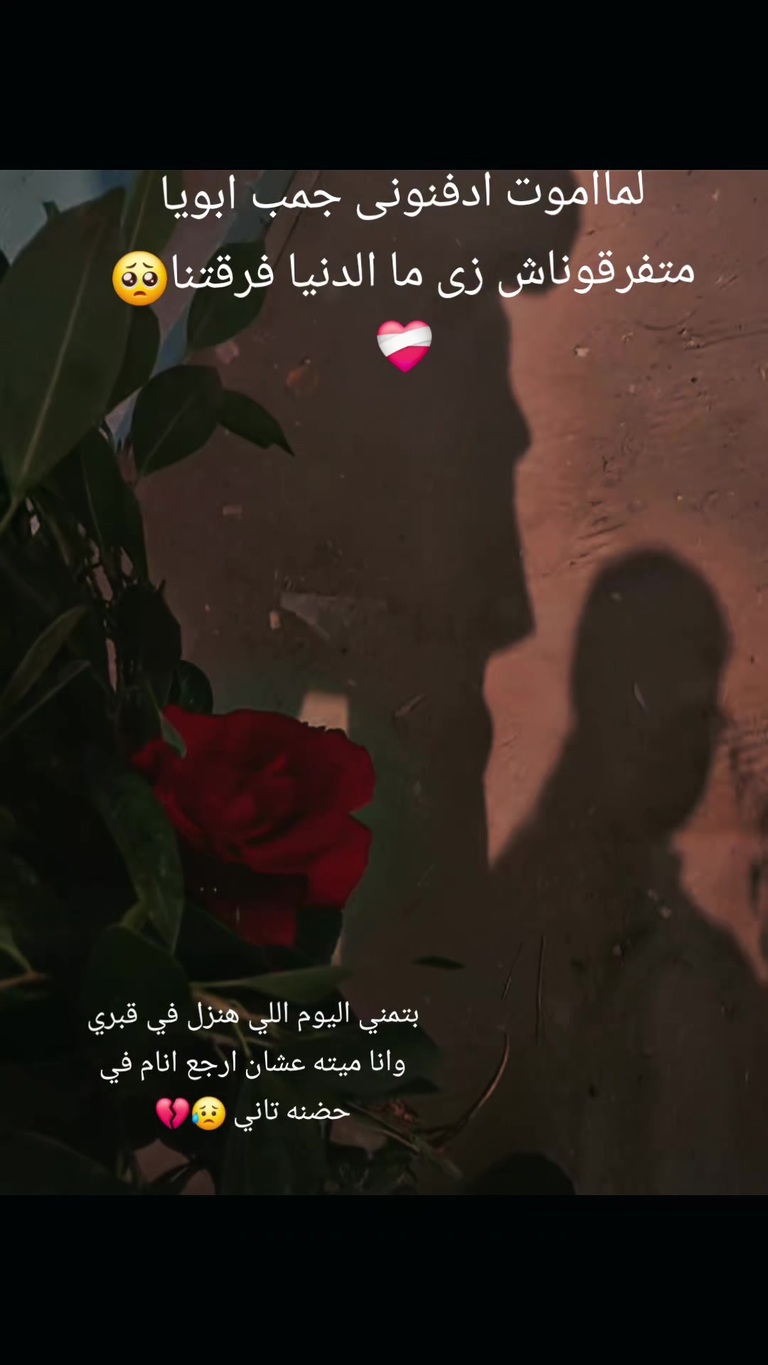 @"امل"اللي بلا (امل) 😂😉