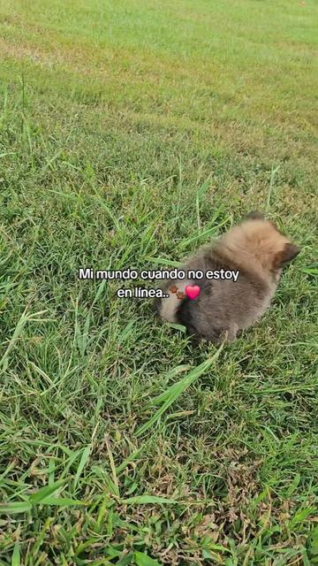 @Gaby Villatoro ☘️✨️🪐🍂💝🧸