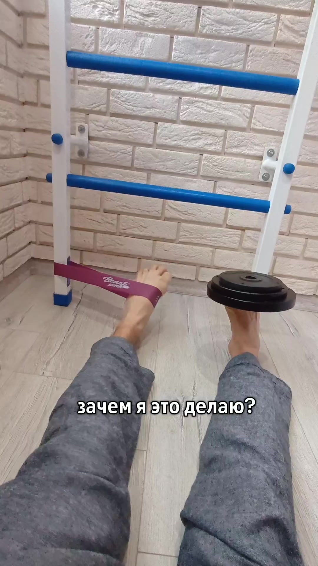@Бигль Сэм и его семья.