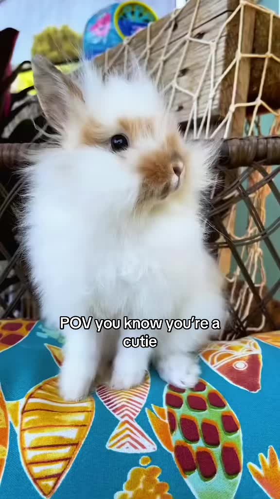 @snackqueenandsir