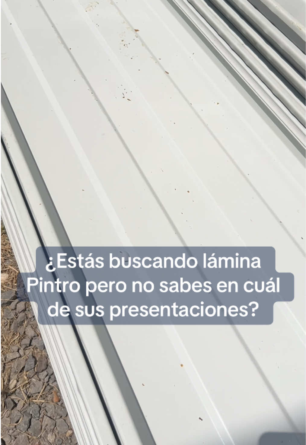 @PolicasaQro