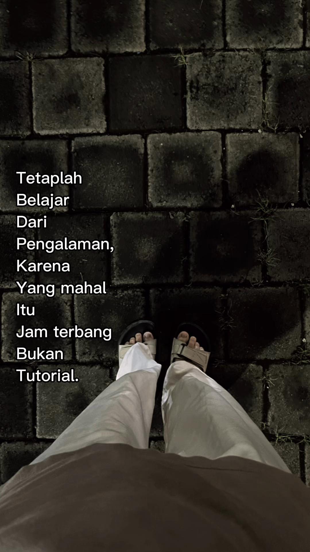 @Lutpi.