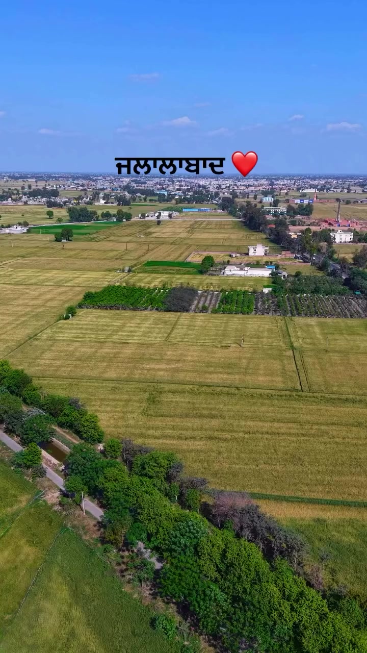 @Surinder Brar