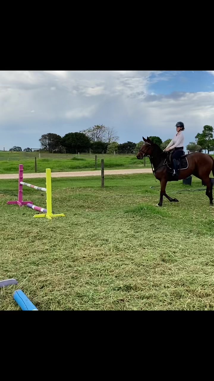 @skye.oequestrian38