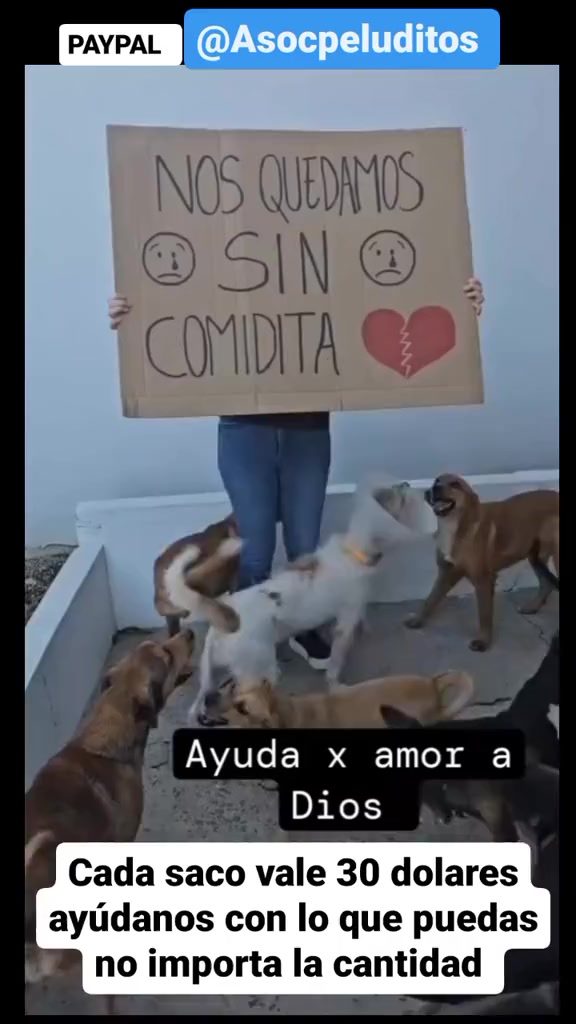 @Asoc. Peluditos