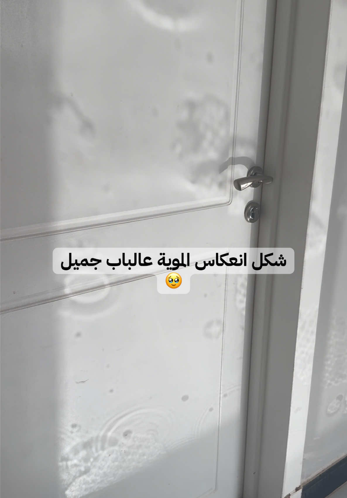 @Ahlam Ahmed