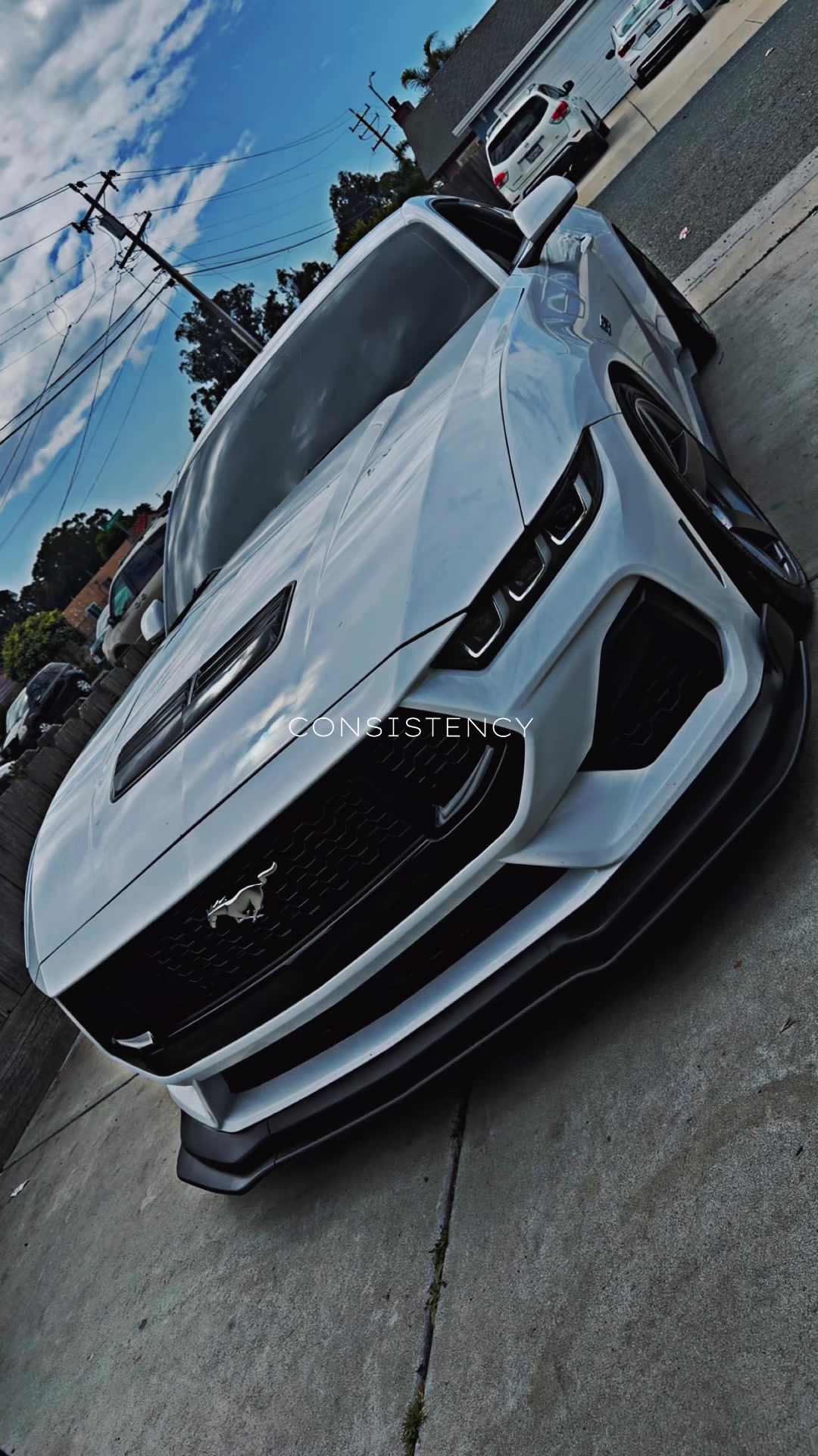 @bay.area.garage